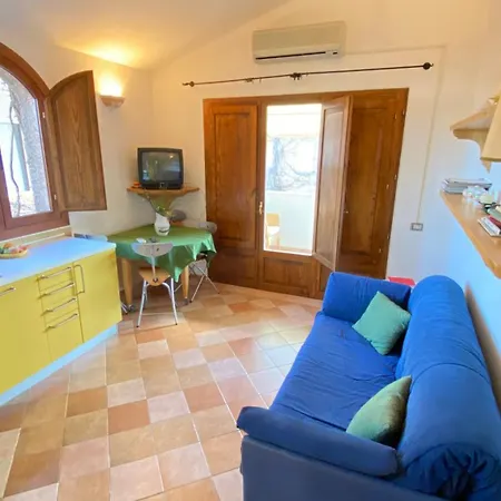 Homely